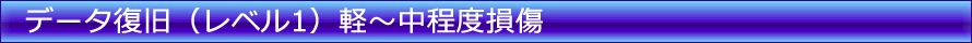 データ復旧 レベル1